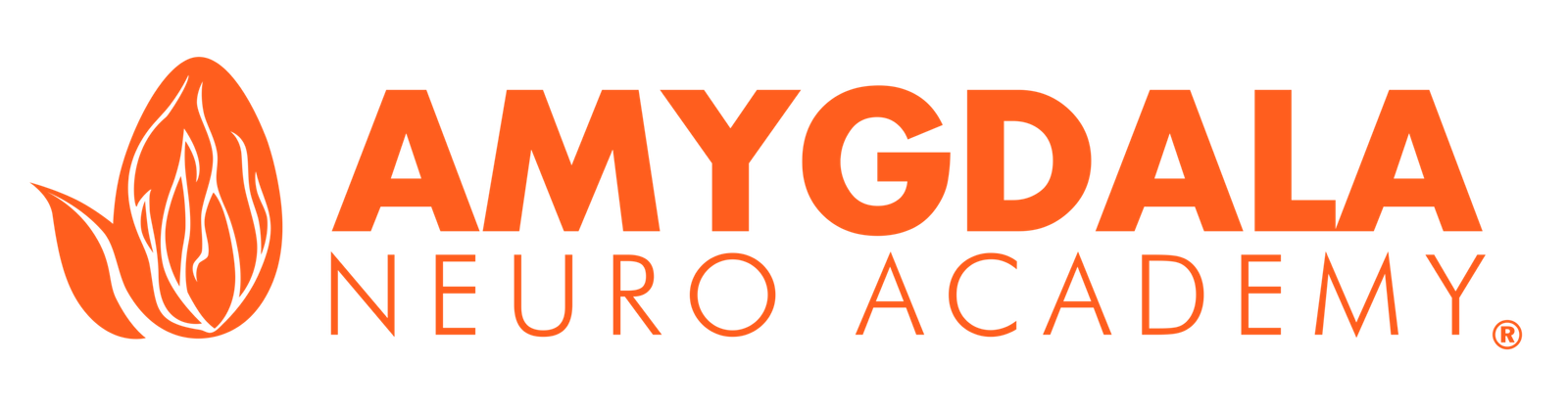 AMYGDALA Home School